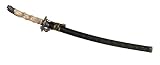 Review Gladius  / Gladius Katana, AISI 420, Dragon