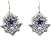 Dallas Cowboys Enameled Pewter NFL Earrings