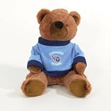 Tennessee Titans 20" Tall Official Logo Teddy Bear