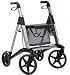 HealthPersonalCare: Small picture for The Big Wheel Active Walker Options Color. Platinum gray