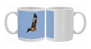 Red Kite - adult in flight feeding on the wing Photo Mugs