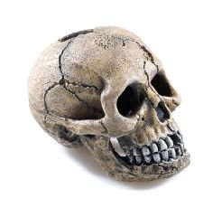 Classic Fish Tank Ornament Spooky Skull 4