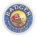 Health & Personal Care : Winter Wonder Balm - An aromatic chest rub & steam inhalant, 2 oz., (Badger Balm)