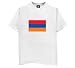 Armenia Flag 2 T-Shirt