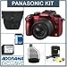 Panasonic Lumix DMC-G2R Micro System Digital SLR Camera - Red - with 14mm - 42mm f/3.5-f/5.6 Lens, 8GB SD Memory Card, Camera Case, USB 2.0 SD Card Reader, Spare BLB13 Lithium Ion Type Battery. Professional Lens Cleaning Kit,