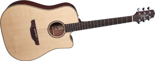 Takamine ESN10C Ac/El Dreadnought Guitar Natural On Sale