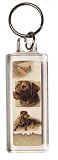 Outdoor Living : Chocolate Labrador Keyring