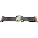 Monster Trucks MT10202 16-Feet Cambuckle Strap, Gray