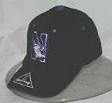 Northwestern Wildcats Adult One-Fit Hat