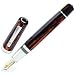 Omas Arte Italiana Arco Celluloid HT Paragon Fountain Pen