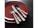 Cuisinart 45 pc Panneau Flatware Set