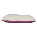 Kitchen & Housewares : 30" x 40" Pet Bed