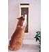 Pet Supplies : Standard Wall-Mount Cat Scratcher : Size ONE SIZE