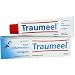 Heel Traumeel Ointment 100g from Heel Inc.