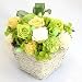 �z���C�g�o�X�P�b�g(�O���[���n)�i�v���U�[�u�h�t�����[�쐬�L�b�g�j�y���j���E�L�O���E�a�����E�t�����[�M�t�g�E�o���z