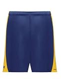 UNDER ARMOUR(アンダーアーマー) ブリッツマイクロショーツ 388