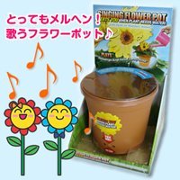 Singing Flower Pot with Built in Moisture Sensor