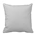 HL HLPPC Vintage Propeller Airplane Retro Old Prop Plane Pillow Case Cushion Cover Home Sofa Decorative 16 X 16 Squares Case Cushion Cover Home Sofa Decorative 16 X 16 Inches