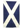 3x5 Scotland Cross of St. Andrew's Flag Andrews Flags