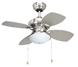 Yosemite Home Decor Hurricane-BS 28-Inch Ceiling Fan with Light Kit, Brushed Steel