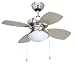 Yosemite Home Decor Hurricane-BS 28-Inch Ceiling Fan with Light Kit, Brushed Steel