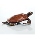 Alex the Turtle Brass Sculpture
