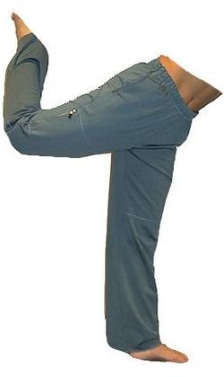 Childrens Toyshop  Sporting Goods : Danskin Women's Lightweight Bungee Pant