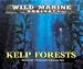 Wild Marine Habitats - Kelp Forests