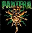 PANTERA - Snake In Skull - Sticker