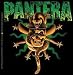 PANTERA - Snake In Skull - Sticker