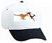 Search : White Cap with hunting, animals, gazelle, prey, cheetah, predator, mammals