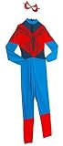 Spiderman: Spidergirl Teen Costume