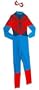 Spiderman: Spidergirl Teen Costume