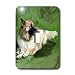 Dogs German Shepherd - German Shepherd - Light Switch Covers - single toggle switch