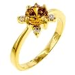 18K Yellow Gold Plated Rose Ring - Champagne