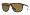 Tortoise Frame/Brown Lens