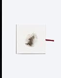 Cai Guo-Qiang - Head On