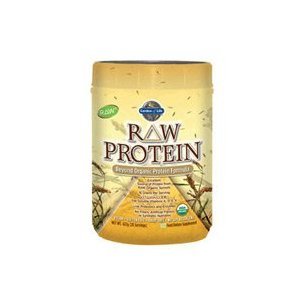 Raw Protein 622 gr