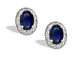 14K White Gold Genuine Oval Sapphire and Diamond Couture Earrings