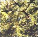 Revue Gas  / Pop
