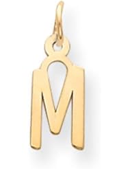 14k Gold Small Slanted Block Initial M Charm