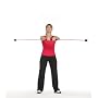 Californian Fitness Trainings-Stab SWINGSTICK , rot