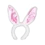 Bunny Rabbit Ears