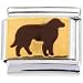 COLLIE DOG Italian Charm