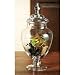 TERRA PINE CONE APOTHECARY JAR - TERRA COLLECTION GLASS APOTHECARY JAR FILLED WITH PINE CONES