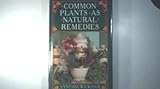 Common plants as natural remedies