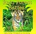 Rain Forest Babies (Books for Young Readers)
