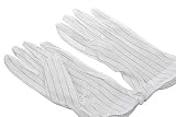 Leland Power Clean Anti-static Gloves, Set of 2 in Large Size