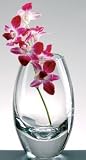 RADIANT CRYSTAL VASE - RADIANT 11 INCH CRYSTAL VASE