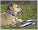 Lupine Small Dog Collar - Cotton Candy 8-12